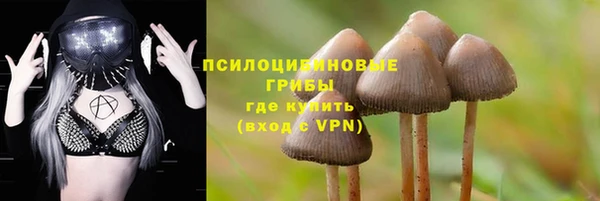 кокс Абдулино