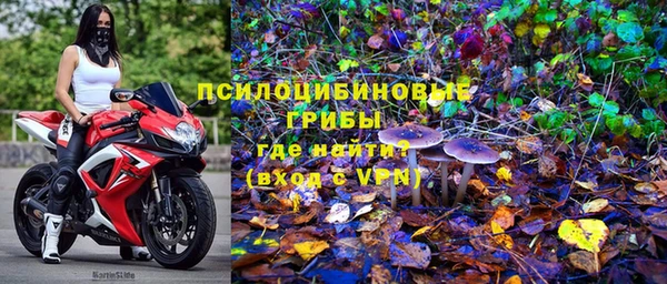 2c-b Осташков