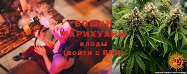 спайс Осинники