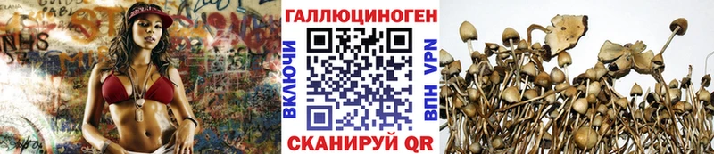 что такое наркотик  Агрыз  Псилоцибиновые грибы Psilocybine cubensis 